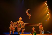 Cirque Du Soleil: TOTEM #93