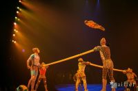 Cirque Du Soleil: TOTEM #97