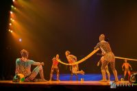 Cirque Du Soleil: TOTEM #98