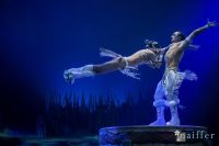 Cirque Du Soleil: TOTEM #105
