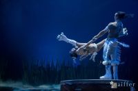 Cirque Du Soleil: TOTEM #111