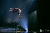 Cirque Du Soleil: TOTEM #147