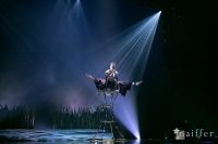 Cirque Du Soleil: TOTEM #148