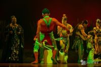 Cirque Du Soleil: TOTEM #154