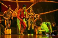 Cirque Du Soleil: TOTEM #155
