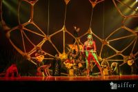 Cirque Du Soleil: TOTEM #157