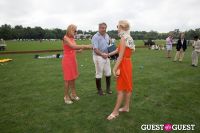 28th Annual Harriman Cup Polo Match #17