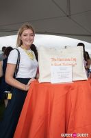 28th Annual Harriman Cup Polo Match #358
