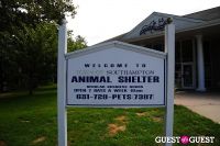 Jean Shafiroff and Dog Trainer Bill Grimmer Visit Southampton Animal Shelter #2