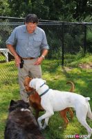 Jean Shafiroff and Dog Trainer Bill Grimmer Visit Southampton Animal Shelter #30