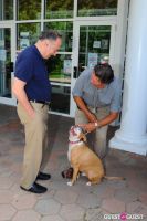 Jean Shafiroff and Dog Trainer Bill Grimmer Visit Southampton Animal Shelter #69