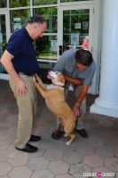 Jean Shafiroff and Dog Trainer Bill Grimmer Visit Southampton Animal Shelter #71