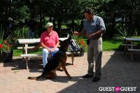 Jean Shafiroff and Dog Trainer Bill Grimmer Visit Southampton Animal Shelter #82