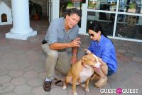 Jean Shafiroff and Dog Trainer Bill Grimmer Visit Southampton Animal Shelter #101