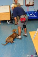 Jean Shafiroff and Dog Trainer Bill Grimmer Visit Southampton Animal Shelter #117