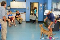 Jean Shafiroff and Dog Trainer Bill Grimmer Visit Southampton Animal Shelter #119