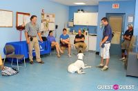 Jean Shafiroff and Dog Trainer Bill Grimmer Visit Southampton Animal Shelter #134