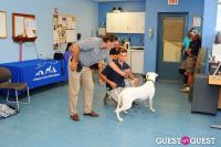 Jean Shafiroff and Dog Trainer Bill Grimmer Visit Southampton Animal Shelter #138