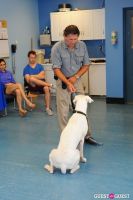 Jean Shafiroff and Dog Trainer Bill Grimmer Visit Southampton Animal Shelter #139