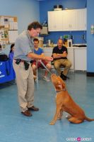 Jean Shafiroff and Dog Trainer Bill Grimmer Visit Southampton Animal Shelter #144