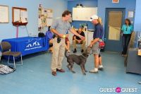 Jean Shafiroff and Dog Trainer Bill Grimmer Visit Southampton Animal Shelter #154