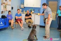 Jean Shafiroff and Dog Trainer Bill Grimmer Visit Southampton Animal Shelter #165