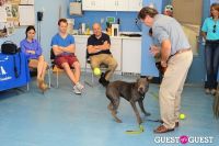 Jean Shafiroff and Dog Trainer Bill Grimmer Visit Southampton Animal Shelter #166