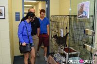 Jean Shafiroff and Dog Trainer Bill Grimmer Visit Southampton Animal Shelter #179