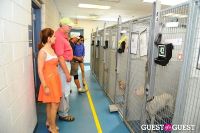 Jean Shafiroff and Dog Trainer Bill Grimmer Visit Southampton Animal Shelter #210