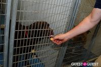Jean Shafiroff and Dog Trainer Bill Grimmer Visit Southampton Animal Shelter #216