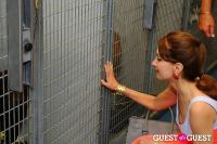 Jean Shafiroff and Dog Trainer Bill Grimmer Visit Southampton Animal Shelter #218