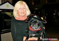 The Amanda Foundation's Bow Wow Beverly Hills #41