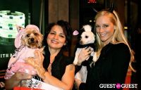 The Amanda Foundation's Bow Wow Beverly Hills #57