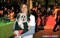 The Amanda Foundation's Bow Wow Beverly Hills #67