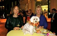 The Amanda Foundation's Bow Wow Beverly Hills #69