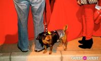 The Amanda Foundation's Bow Wow Beverly Hills #70