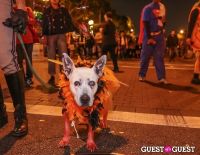 West Hollywood Halloween Costume Carnaval #270