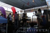 Mad Decent Block Party 2011 (LA) with Diplo #27