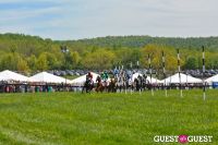 Becky's Fund Gold Cup Tent 2013 #68