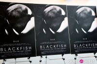 Blackfish Special Screening #72