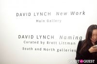 David Lynch 'Naming' Opening Reception #2