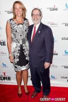 Stand Up for a Cure 2013 with Jerry Seinfeld #30