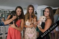 Puppies & Parties Presents Malibu Beach Puppy Party #30