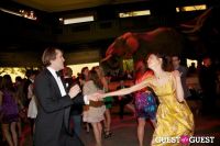 AMNH Museum Dance #75