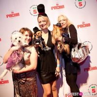 Beth Ostrosky Stern and Pacha NYC's 5th Anniversary Celebration To Support North Shore Animal League America #46