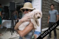 Puppies & Parties Presents Malibu Beach Puppy Party #3