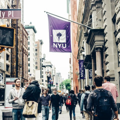 What Does Your NYC College Say About You?