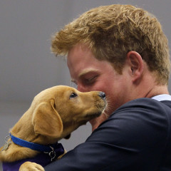10 Photos Of Prince Harry & Puppies You Won't Be Able To Stop Thinking About