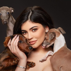 A Brief History Of Rich Girls & Puppies: A Love Story