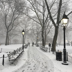The Absolute Best NYC Spots To Visit When It Snows